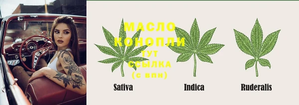 индика Карталы